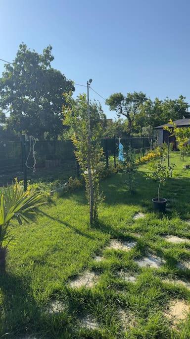Escape To The Peaceful Countryside Villa อิสตันบูล ภายนอก รูปภาพ