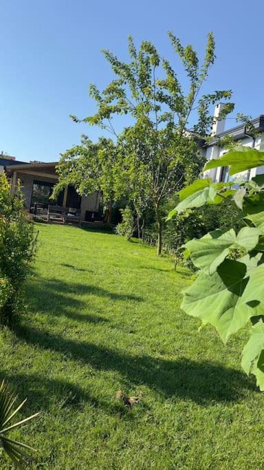 Escape To The Peaceful Countryside Villa อิสตันบูล ภายนอก รูปภาพ